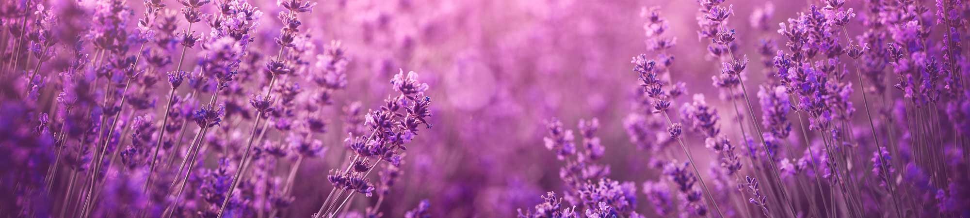 istock